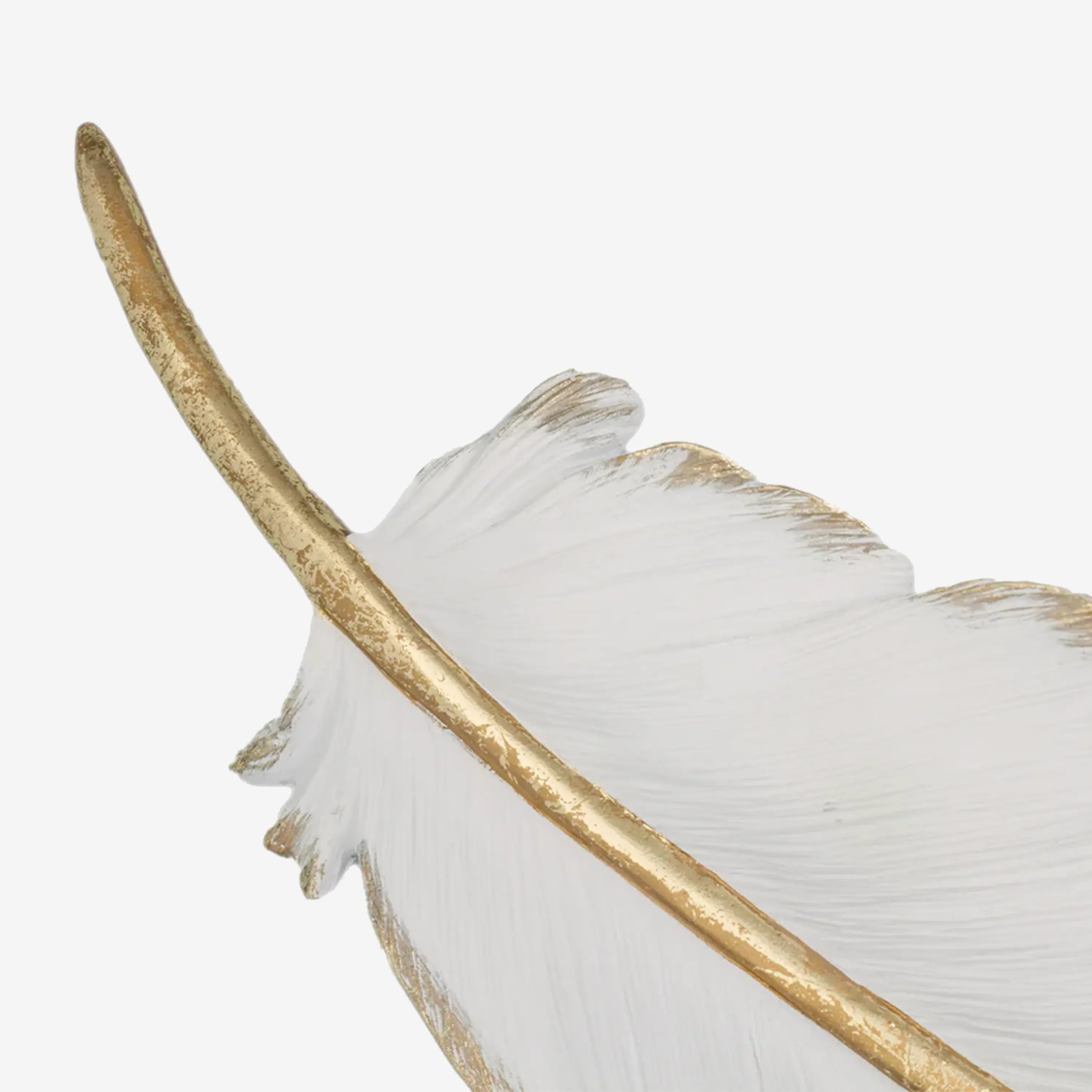 Feather Wall Art White