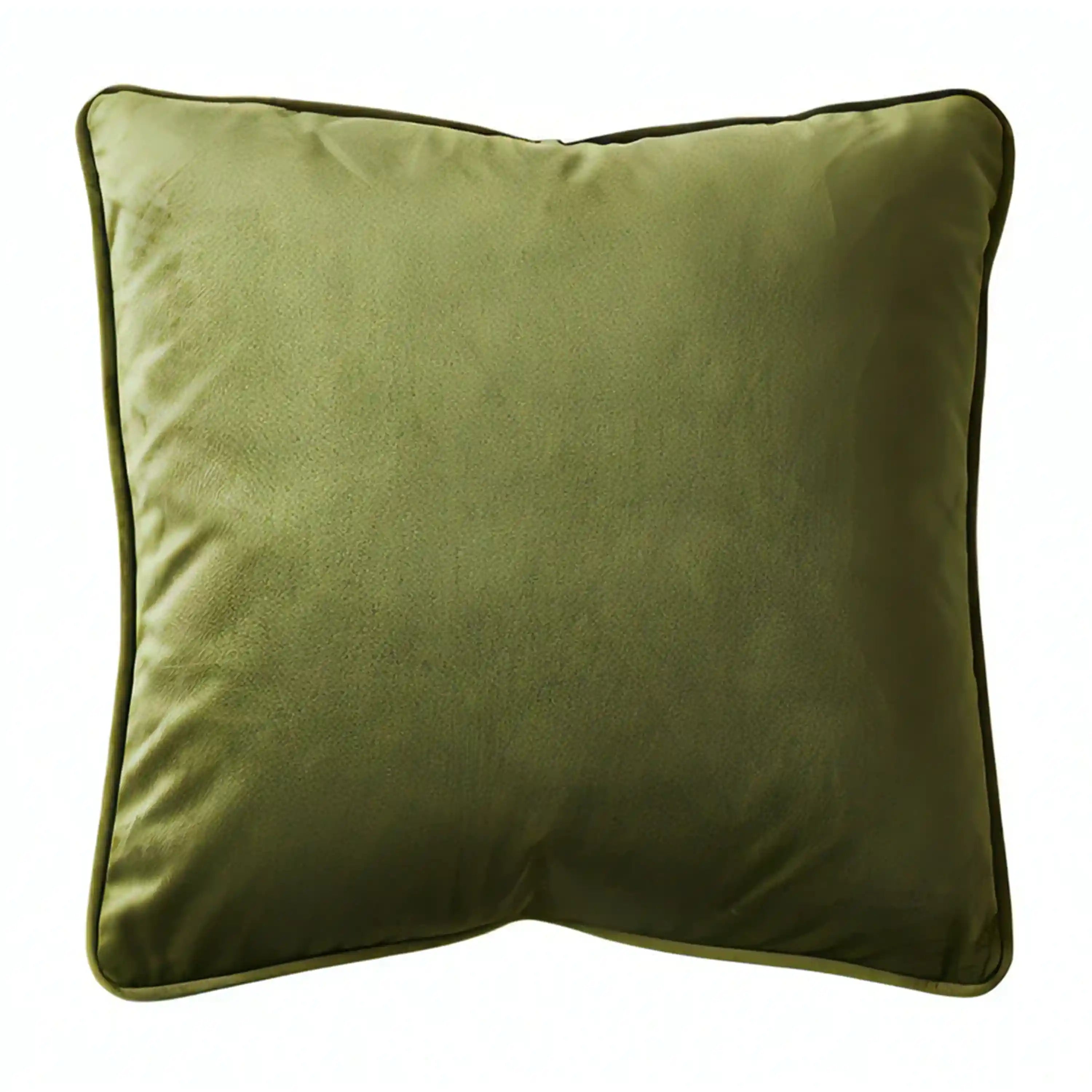 Remi Velvet Cushion